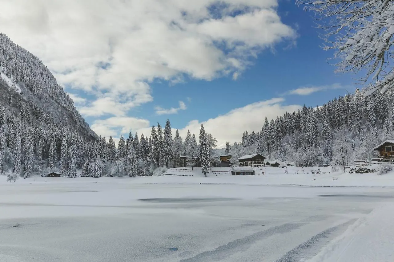 Hotel Du Lac Montriond